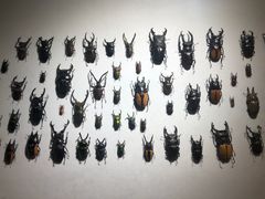 -燕莎友谊商城(亮马桥店)