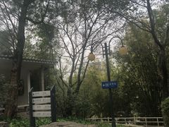 -晓港公园