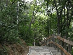 -大岭沟猕猴桃谷风景区