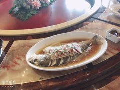 -碧丽宫大酒店(召稼楼店)