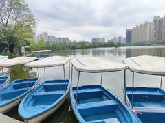 -成都南湖公园