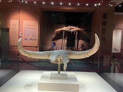 -国强手抓(西夏区店)