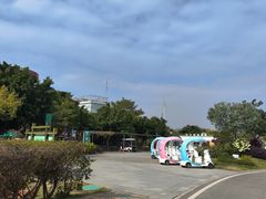 -芒洲湿地公园