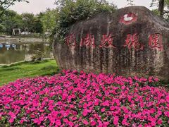 -鹅湖玫瑰文化园