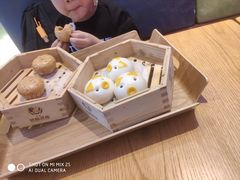 -美食小镇·观赏珍稀鸟类·长隆熊猫酒店
