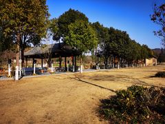 -黄陂区野村谷景区