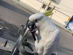 -四海楼(如皋定慧禅寺店)