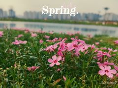 -洋湖国家湿地公园