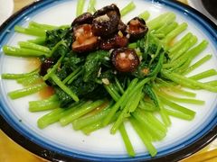 炒青菜-青竹园海鲜餐厅(海天路店)