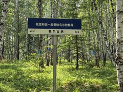 -哈乌尔河
