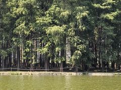 -汉水公园