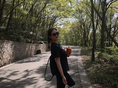 -紫金山山顶公园