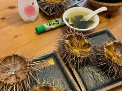 -海胆小馆(东北水饺·春柳店)