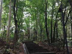 -福神岗公园