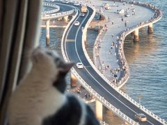 -演武大桥观景平台