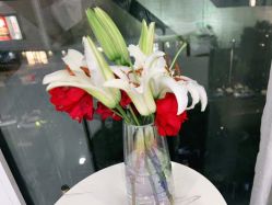 -Dr.Jane皮肤管理中心
