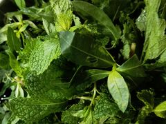 -黔府豆米火锅野菜馆(南马店)