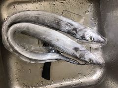 -盒马鲜生(财富领域店)