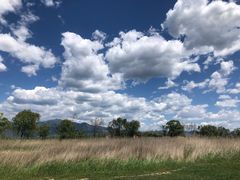 -野鸭湖国家湿地公园