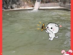 -十渡高山漂流