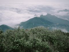 -白草畔自然风景区
