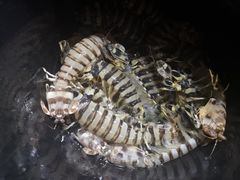 -海盗餐厅