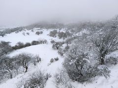 -太子岭滑雪场