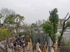 -武汉动物园