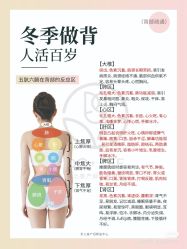 点击看大图 -玛莲朵·海菲秀冰珀科