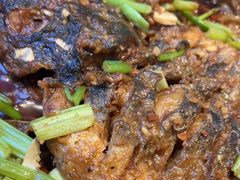 -老板恋上鱼(恒隆广场店)