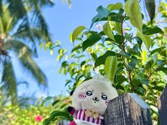 -三亚亚龙湾铂尔曼别墅度假酒店