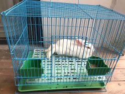 -热靴映画儿童摄影工作室(绍兴水街壹号文创园店)