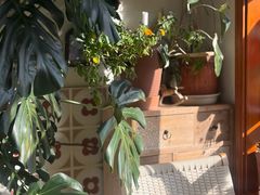 -AHAVA·Fang Baking Studio