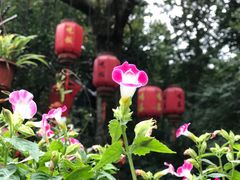 -国生茶庄·地道农家菜团建活动