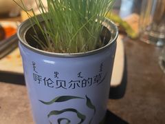 -很久以前羊肉串(京汉店)