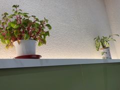 -东北小板凳地摊烧烤(泰来街店)