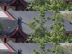 -堤角公园