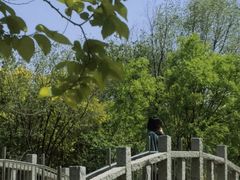 -塘沽森林公园