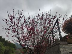 -贵阳市花溪国家城市湿地公园
