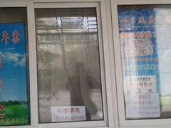 -紫竹院公园冰场