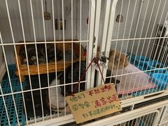 -小时光咖啡馆(北锣鼓巷店)
