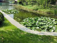 -杭州师范大学(下沙校区)