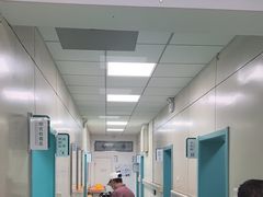 -北京观赏动物医院·24小时大型综合·猫专科·异宠专科