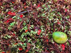 -石屏老字号4号包浆豆腐美食城(泼水广场店)