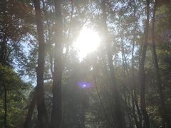 -驼梁风景区