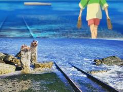 -烟台海昌鲸鲨海洋公园