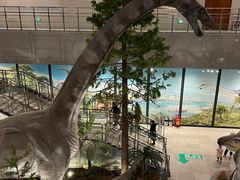 -湖南省地质博物馆