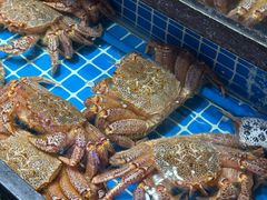 -吉友粥底火锅(方斜路店)