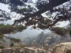 -崂山巨峰游览区
