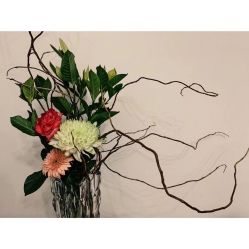 -Oasis Beauty水磨坊科技美肤中心